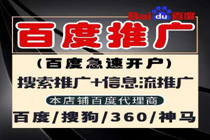行业案例分析：sem账户托管的成功与挑战